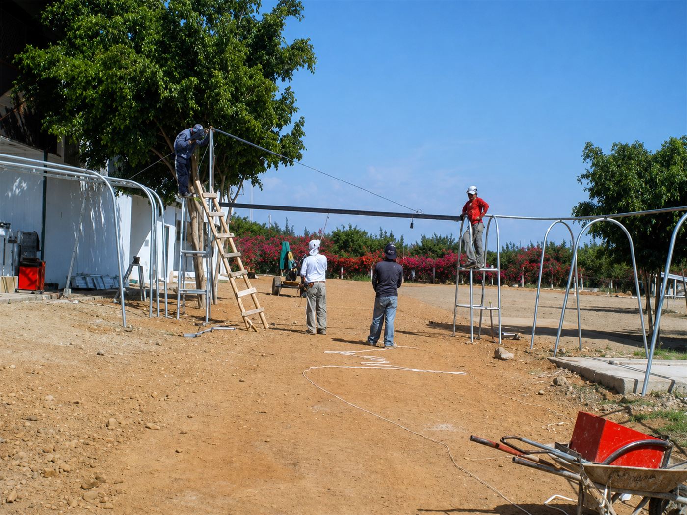 Cable vía para transporte de cosecha